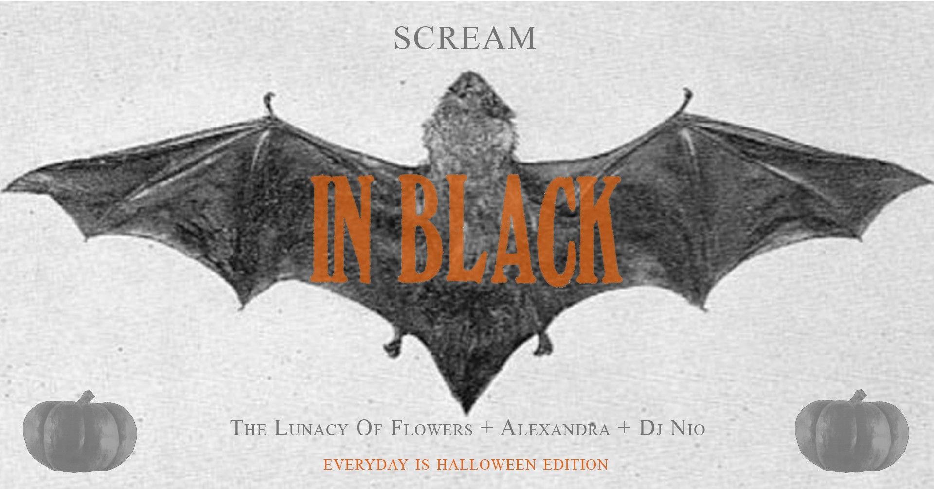 Bar IDA: Scream In Black