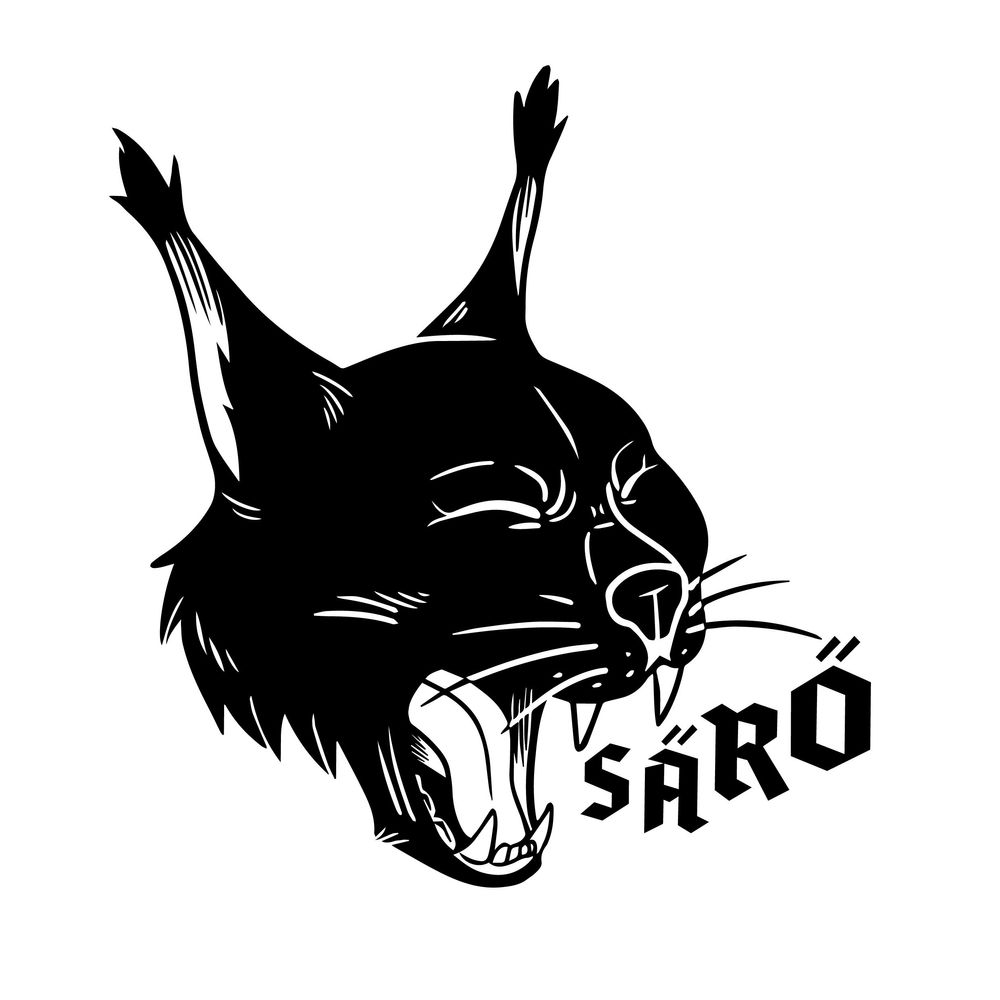 Säröääniä