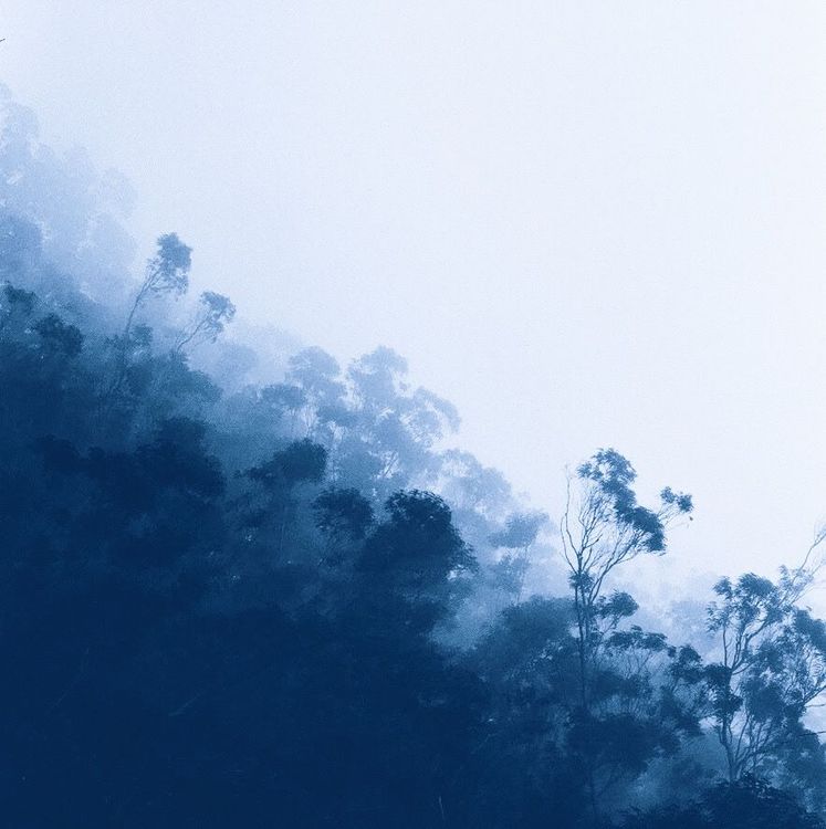 Blue Hour