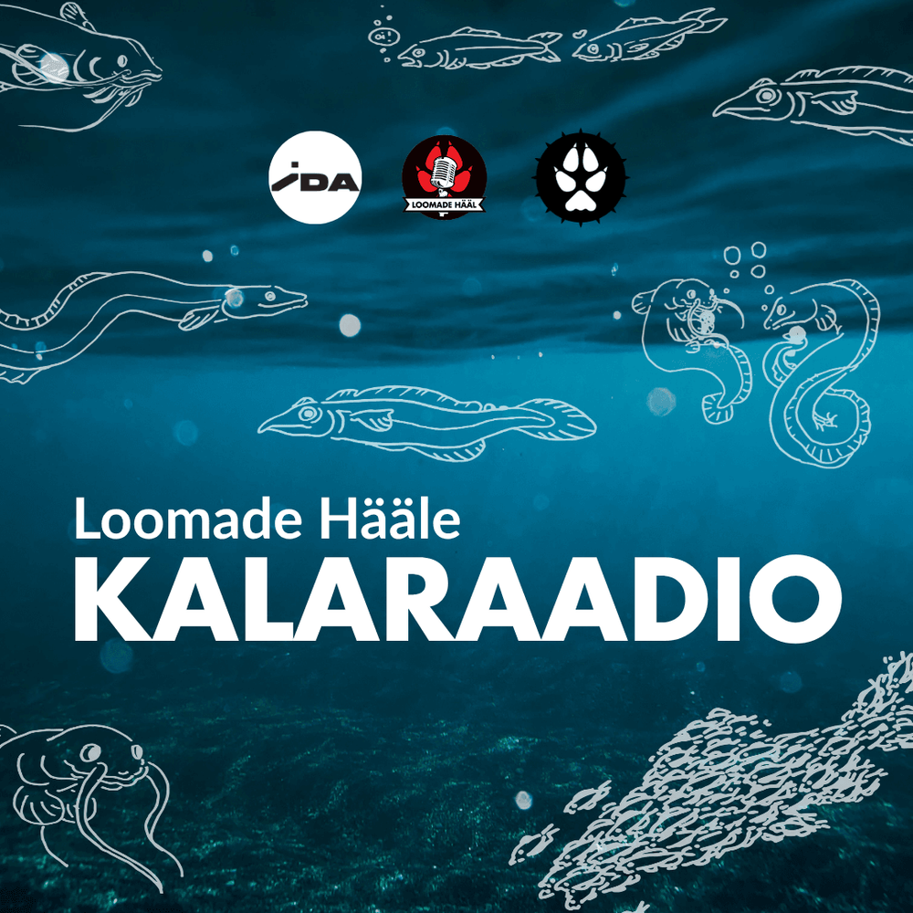 Loomade Hääle kalaraadio